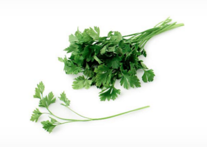 Italian Parsley