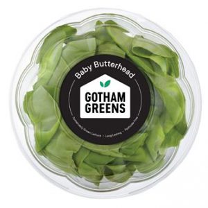Gotham Greens Baby Butterhead Lettuce