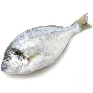 Royal Dorade, Farm-Raised "Gilt Head Sea Bream, Orata, Dorado"