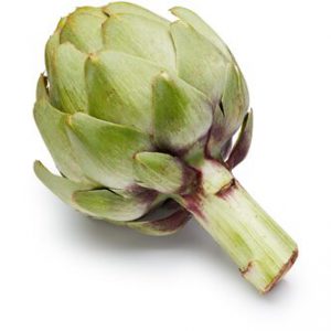Jumbo Artichoke