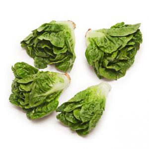 Lancaster Farm Fresh Cooperative Organic Little Gem Lettuce unite