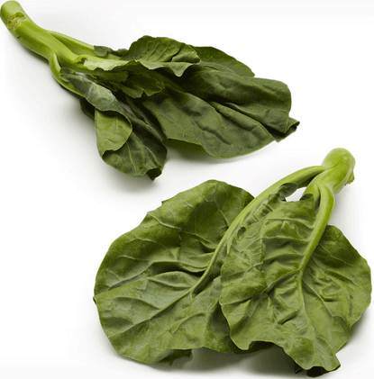 جاي لان بروكلي صيني ، بانش