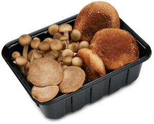 مزيج آسيوي الإرث العضوي