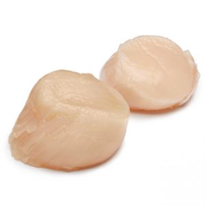 Jumbo Dry Sea Scallops