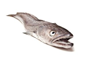 Common Hake 1kg