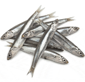Anchovies 1kg