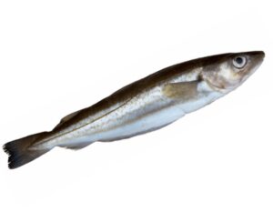 Whiting 1kg