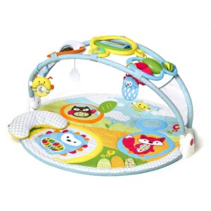Skip Hop Explore and More Activity Gym (Multicolor)