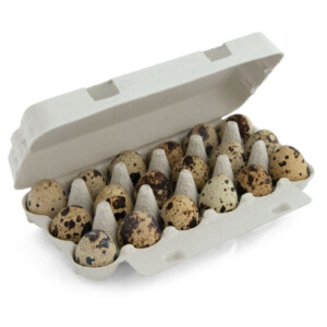 Fresh Quail Eggs x18 - MATINALES
