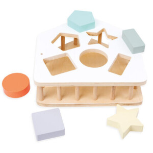 Crazy Colors shape box toddler toy - Premother