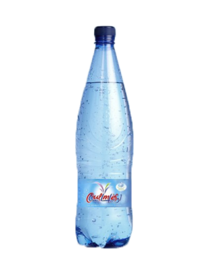 Oulmès Sparkling mineral water 1L